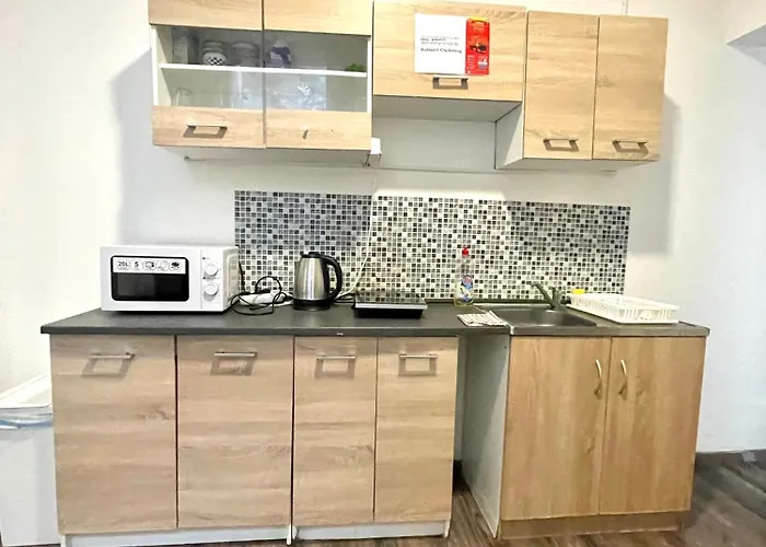 Aradi With Private Bathroom In The Centre Mid Term Gazde/Camere de închiriat